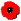 poppy